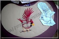 20110705-Cardinal rouge_03.jpg